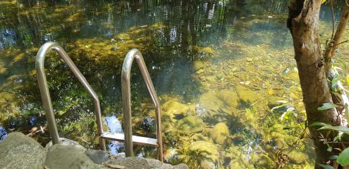 Gap Creek Cabin in บลูมฟิลด์