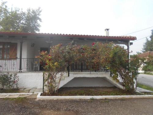  Next to the Aliartos Gardens in Alíartos