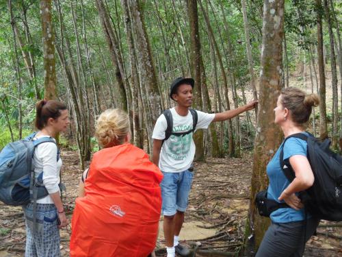 LANDBOW GREEN VILLAGE Homestay Trekking & Village Tour