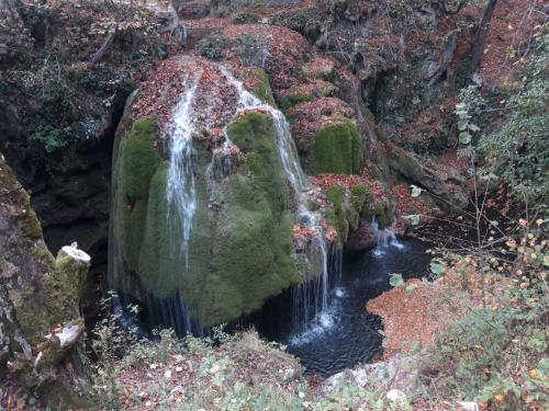 Colț de rai - camera de inchiriat