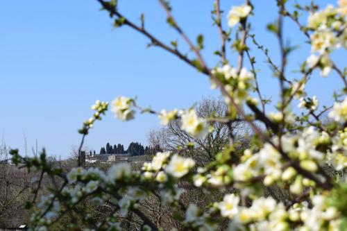 Accogliente rustico in Prosecco Valley