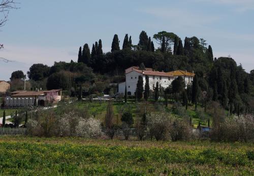 Bacco a Petroio - image 10