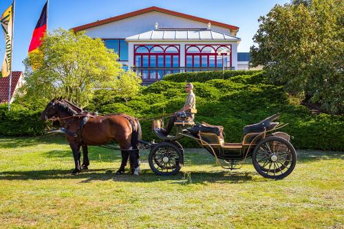 Hotel am Gothensee - image 8