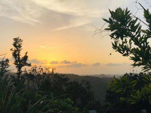 Camping para dos - a escoger segun disponibilidad de caseta o cabaña (Camping para dos - a escoger segun disponibilidad de caseta o cabana) in Caguas