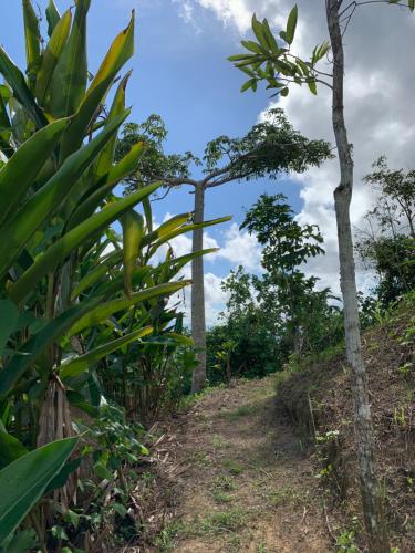 Camping para dos - a escoger segun disponibilidad de caseta o cabaña (Camping para dos - a escoger segun disponibilidad de caseta o cabana) in Caguas