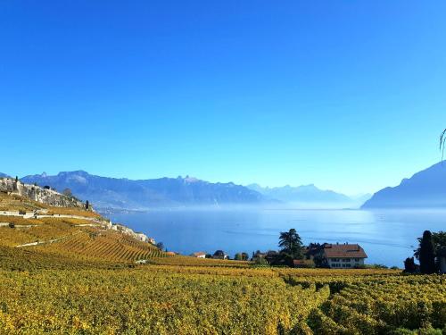 Montreux Holiday Home