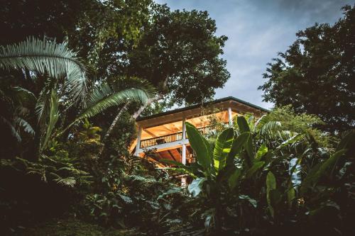 Vestíbulo, Copal Tree Lodge a Muy'Ono Resort in Punta Gorda
