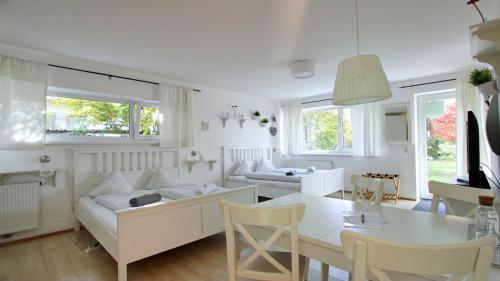 Innsbruck Apartment Nigler