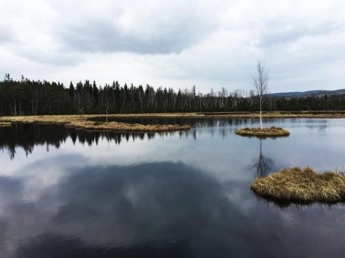 Apartmany Stozec - Stela Premium in Stozec