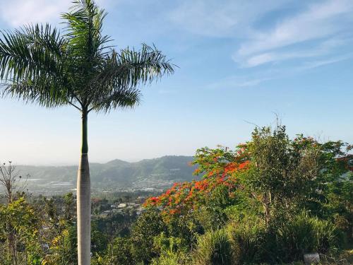 Camping para dos - a escoger segun disponibilidad de caseta o cabaña (Camping para dos - a escoger segun disponibilidad de caseta o cabana) in Caguas