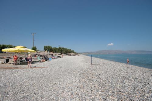 Castro Beach Hotel - image 7