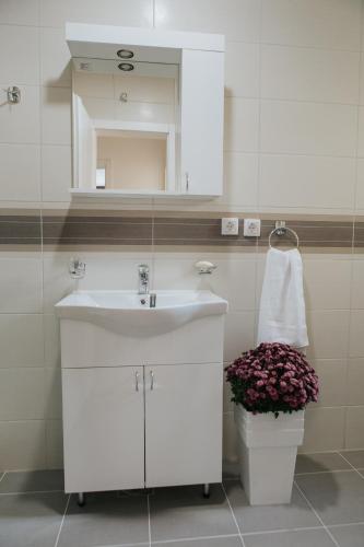 Apartman Srna