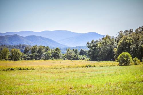 Gateway to the Smokies - image 9