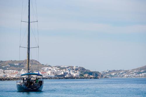 Boat Aiolis in the Athenian Riviera! 3