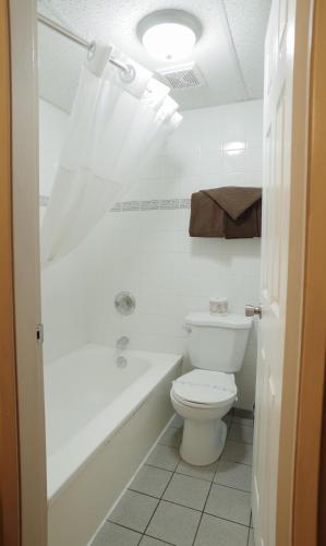 1 King Bed Pet Friendly Non-Smoking