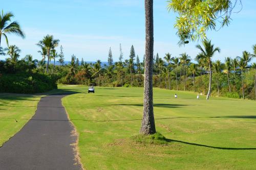 Shores at Waikoloa #338