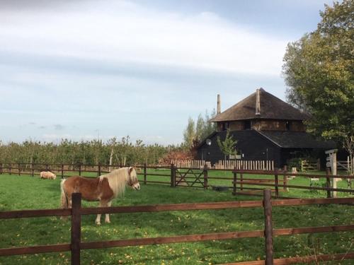 De Steltenberg in de Betuwe