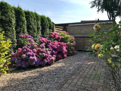 Ferienhaus _Auf dem Bremsberg_ - image 12