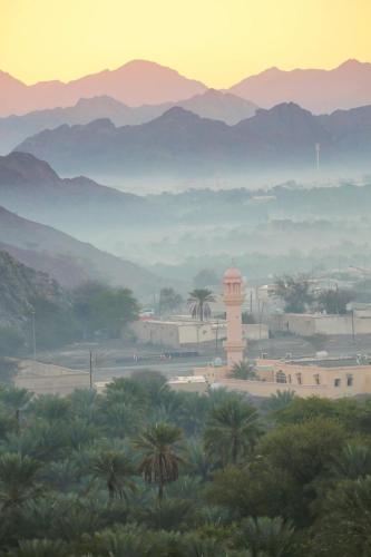 Sports and activities, Happiness Farm in Hatta