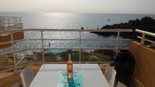 Appartement T2 TOIT-TERRASSES PLEINE VUE MER PANORAMIQUE