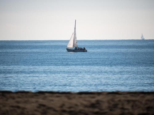 PREMIUM BEACH DESIGN - La Malagueta - image 6