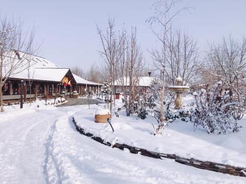 Gradina Vlahiia - image 14