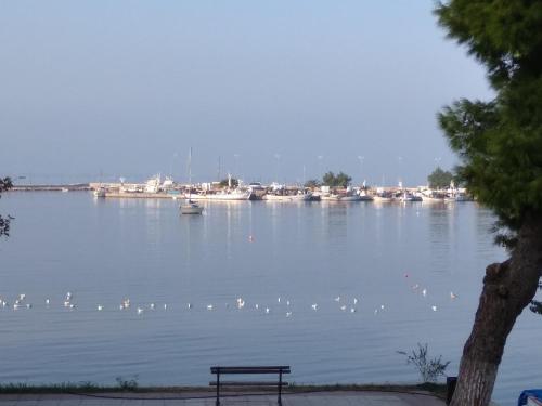  Themilena´s house 1 in Nea Artaki