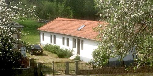  Bella Tardona in Tardona
