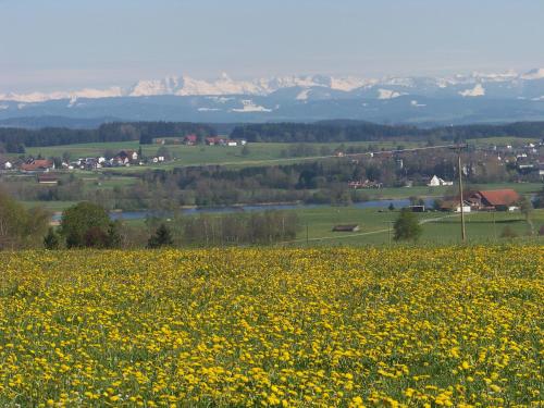 周邊環境, Ferienhaus Brunnenweiher in 基斯萊格