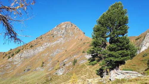 Blockhaus Ganschitter