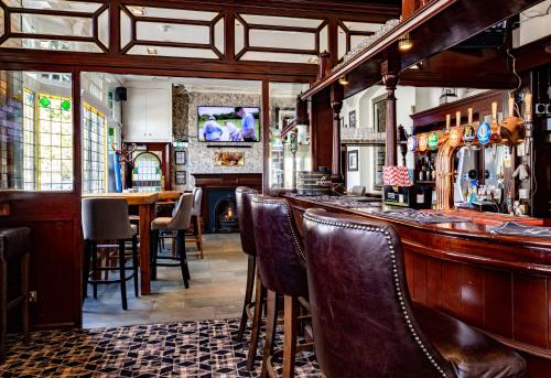 Black Lion - image 11