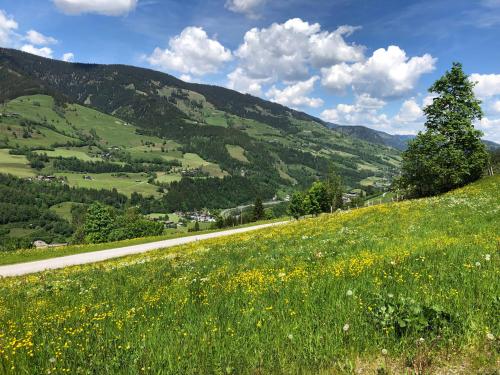 Paradise on Mountain