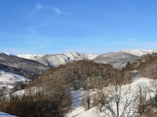 Les Effraies - Location saisonnière - Hohrod