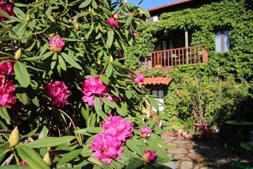 Posada La Llosa de Somo – Somo, MS
