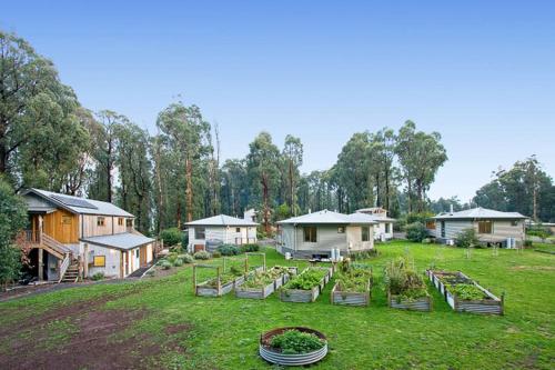 Accommodation in Kinglake