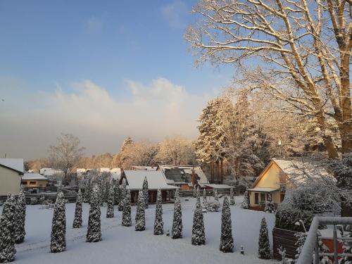 Forest Edge Lodge, Riga (photo 2)