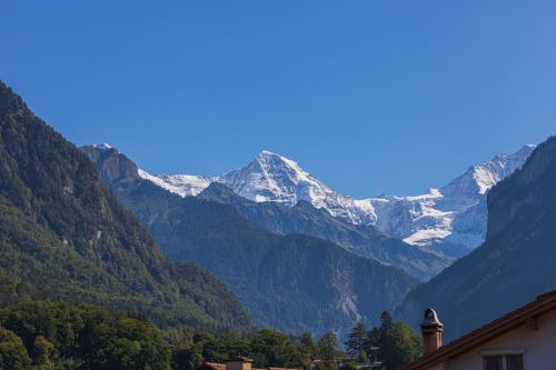 Chalet Gousweid- Jungfrau Apartment