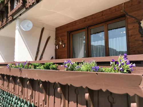 Kilátás, Almblick Ferienwohnung in Balderschwang