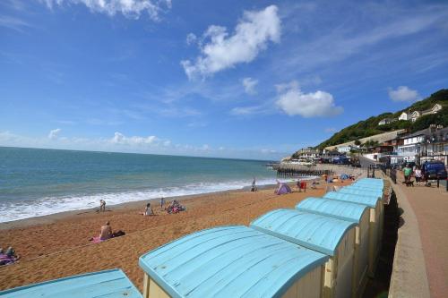 Sea Grove - image 3