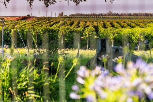 Casa de Aitona Bodega Zubizarreta