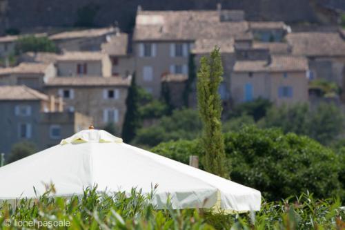 La Maison Rose - image 6