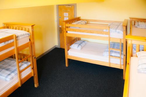 Bed in 8-Bed Mixed Dormitory Room