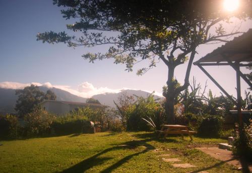 Lime Tree Farm, Blue Mountains, Mavis Bank (fotografie 10)