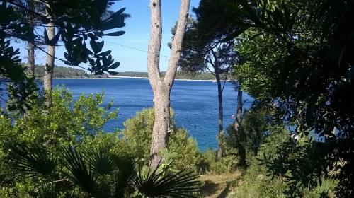 A környék, Studio Tina2683 in Poljana