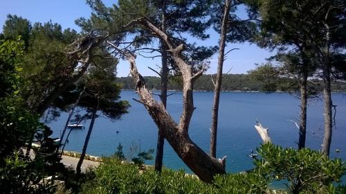 Kilátás, Studio Tina2683 in Poljana