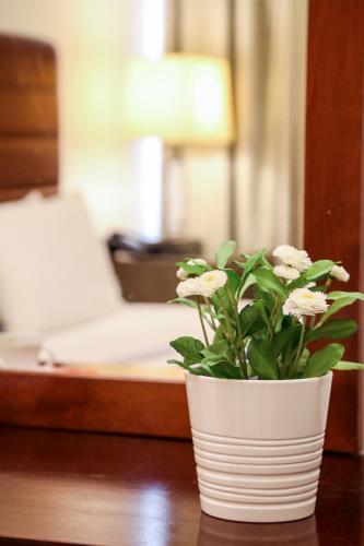 Mermaid Beach Hotel LLC Mermaid Beach Hotel LLC
