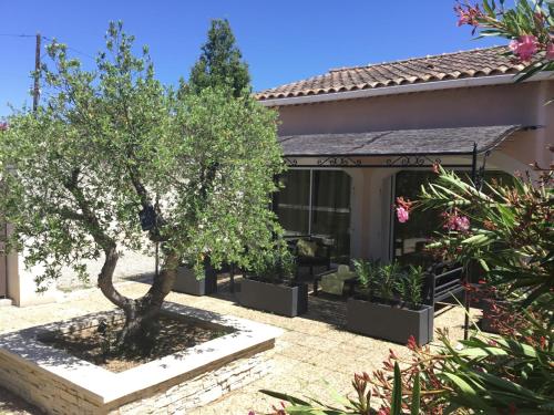 Gîte avec Piscine Lou Minèstraü - Location saisonnière - Entraigues-sur-la-Sorgue