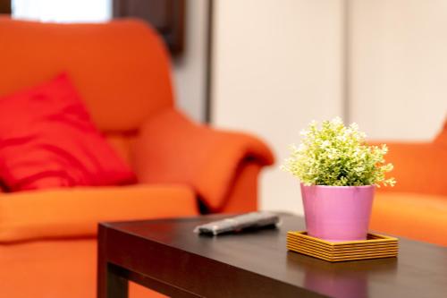 Apartamento Solares - image 6