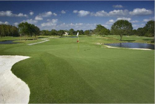 Saddlebrook Golf Resort & Spa Tampa North-Wesley Chapel