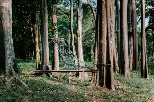 Beautiful natural surroundings